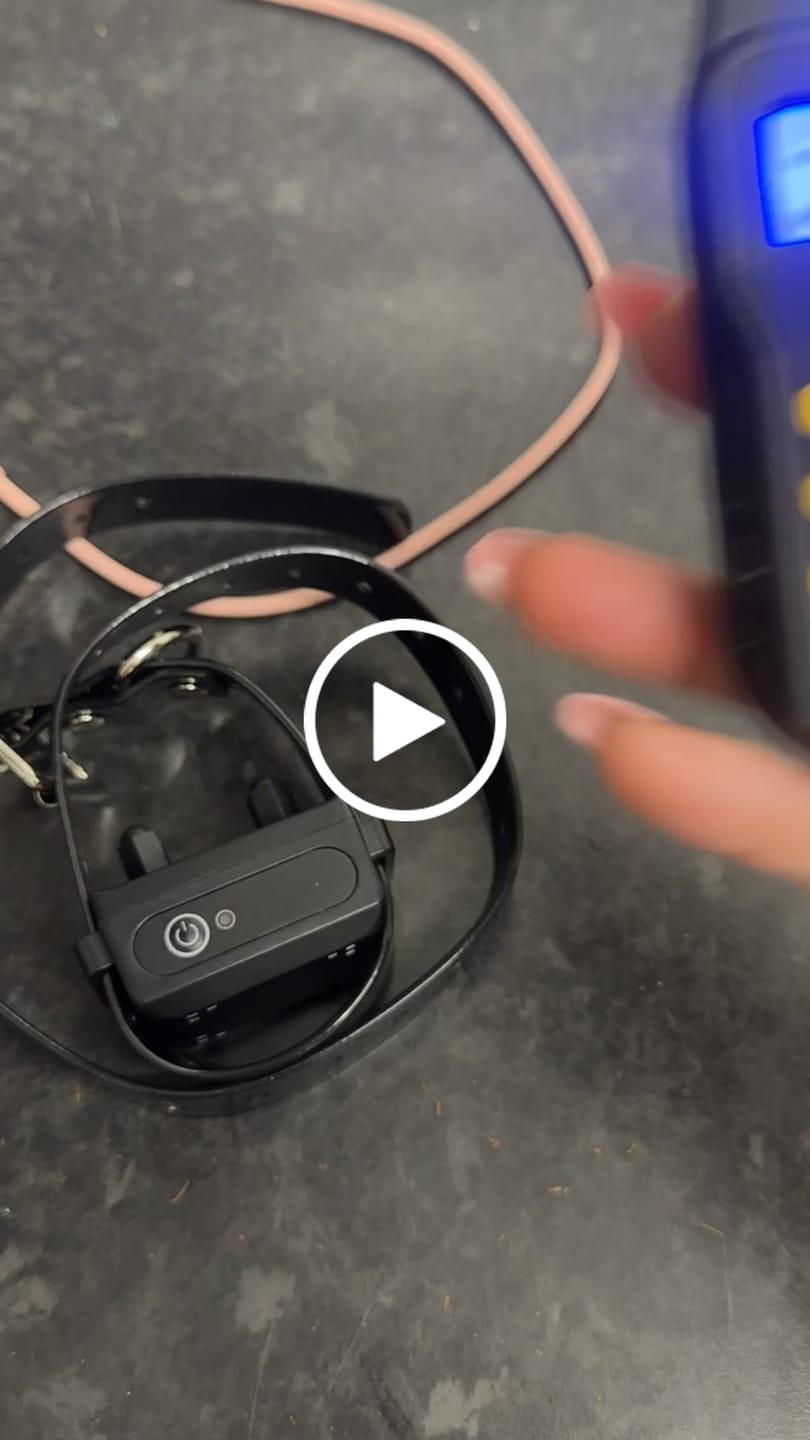 Customer video review of 1000m Electric Dog Training Collar & Remote Control for Pet Training
