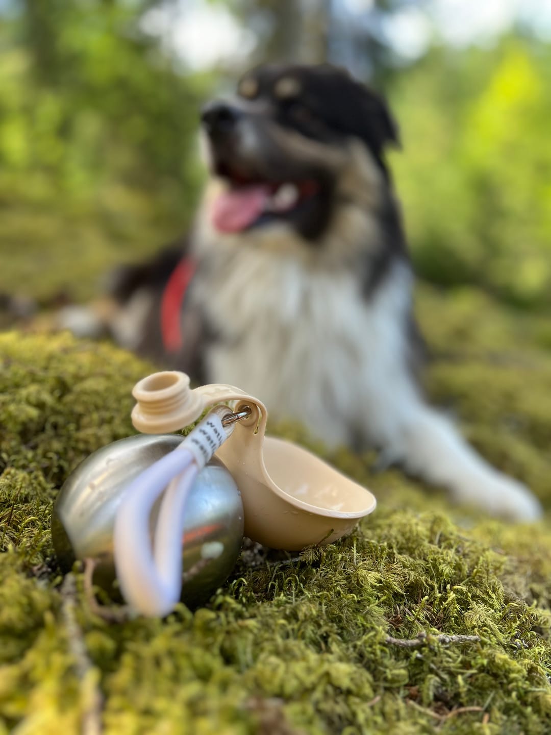 Customer photo review of Adventure