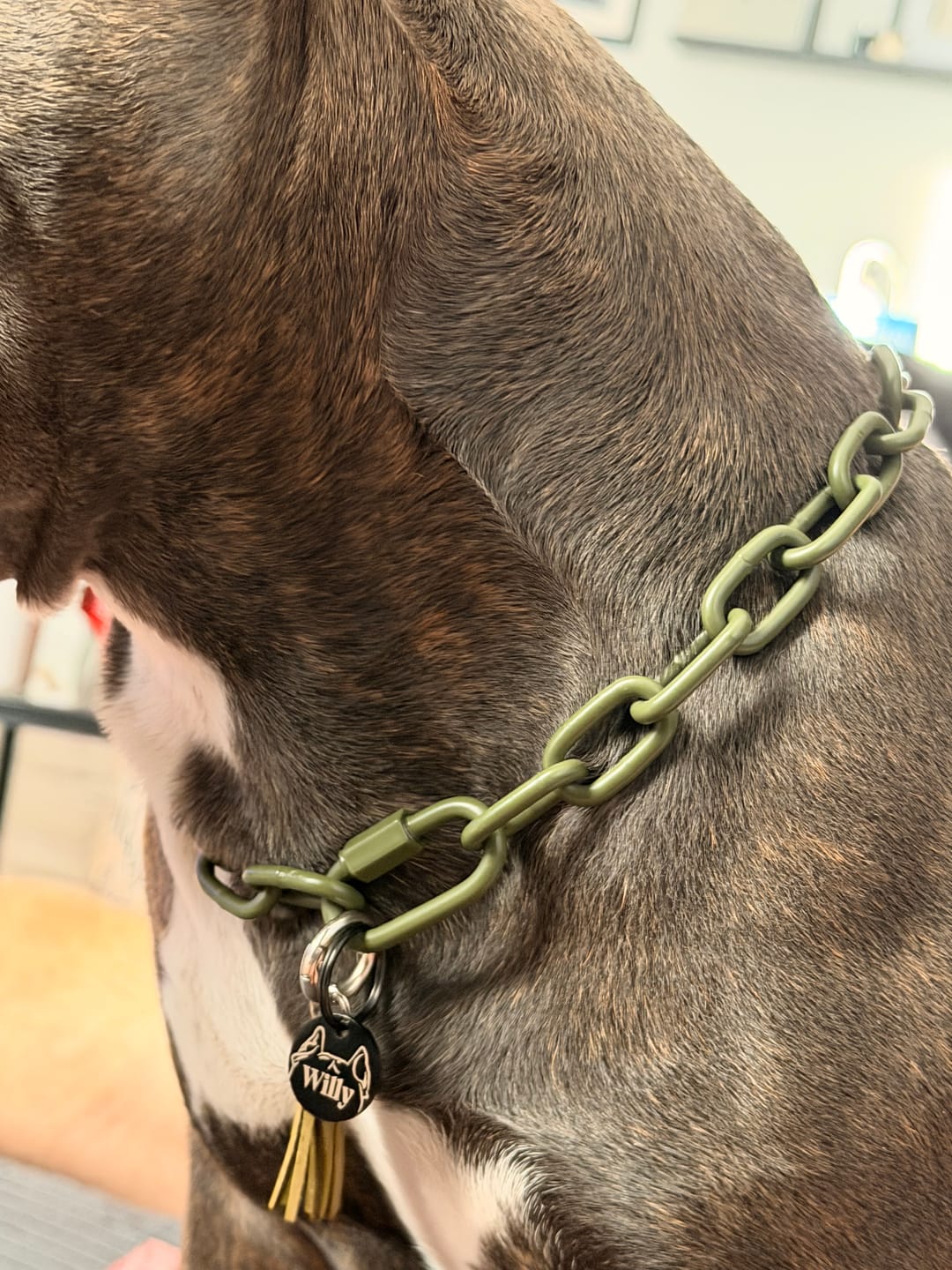 Customer photo review of Kurzgliedrige Eastside Chain