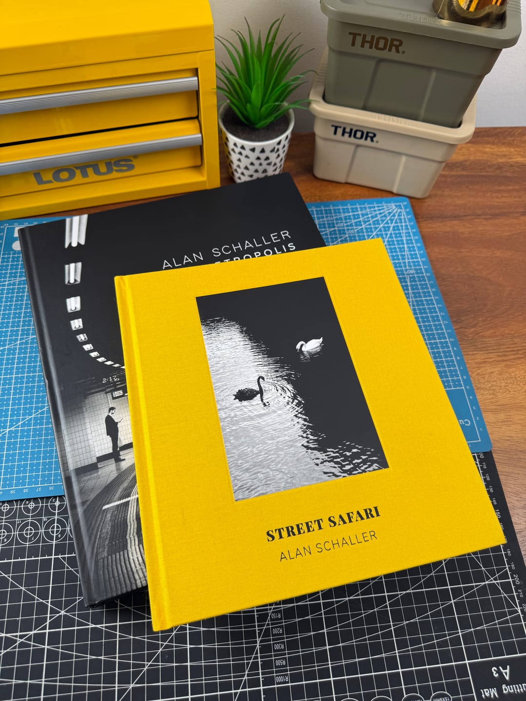 Customer photo review of Street Safari by Alan Schaller – Signed First Edition (Signature Included for the First 400 Orders)