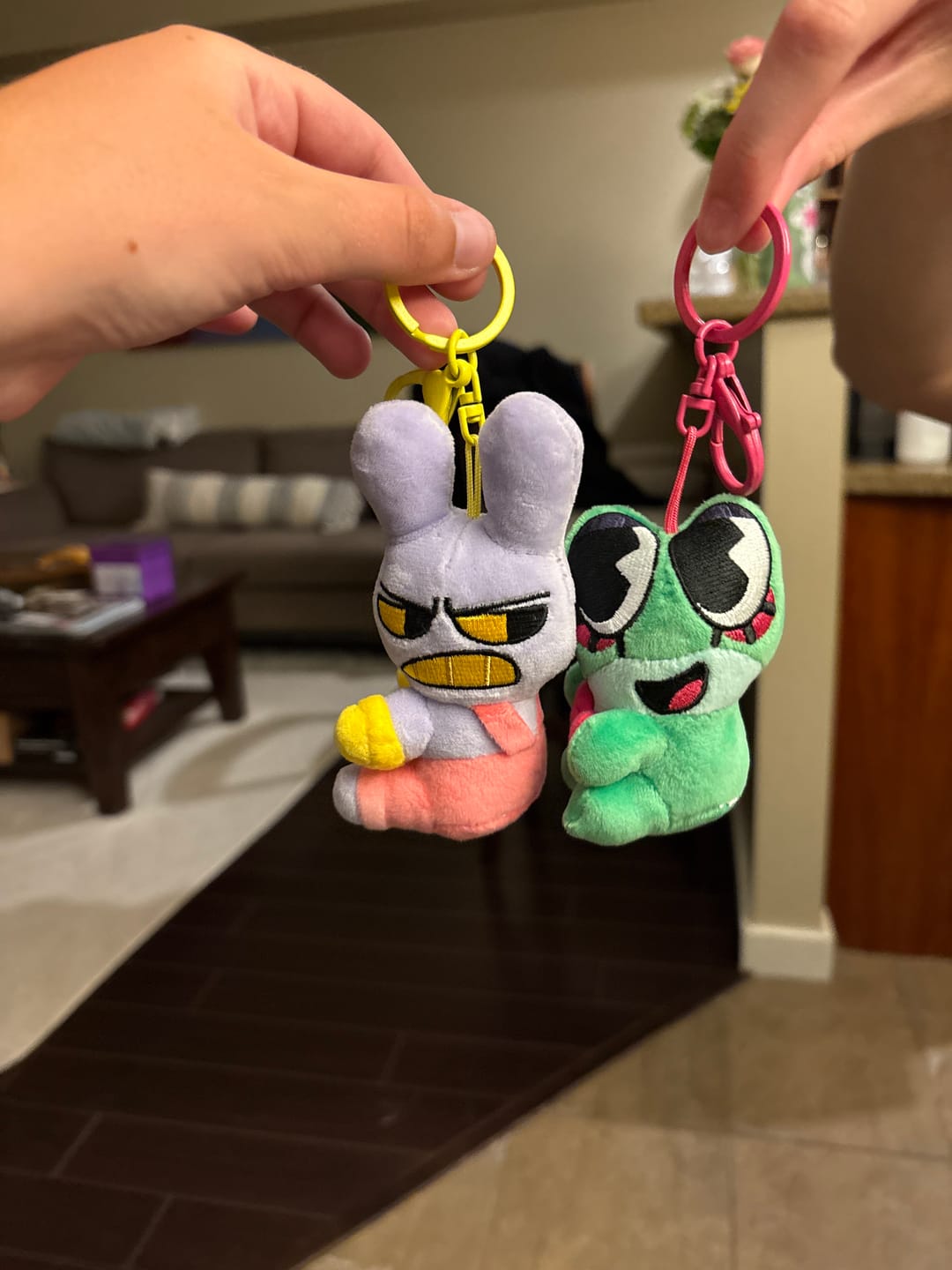 Customer photo review of Jax & Ribbit Magnetic Plush Keychains