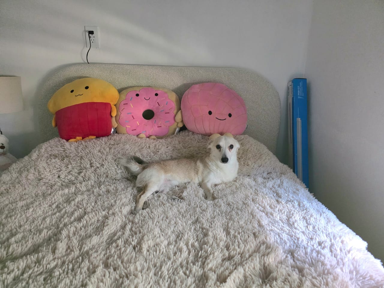 Customer photo review of Cobija Impermeable para Perros