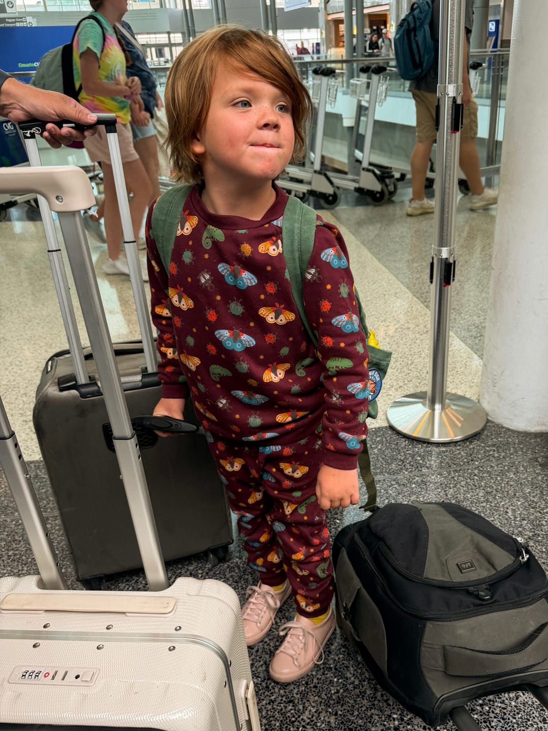 Customer photo review of Chestnut Extraordinary Sweatshirt