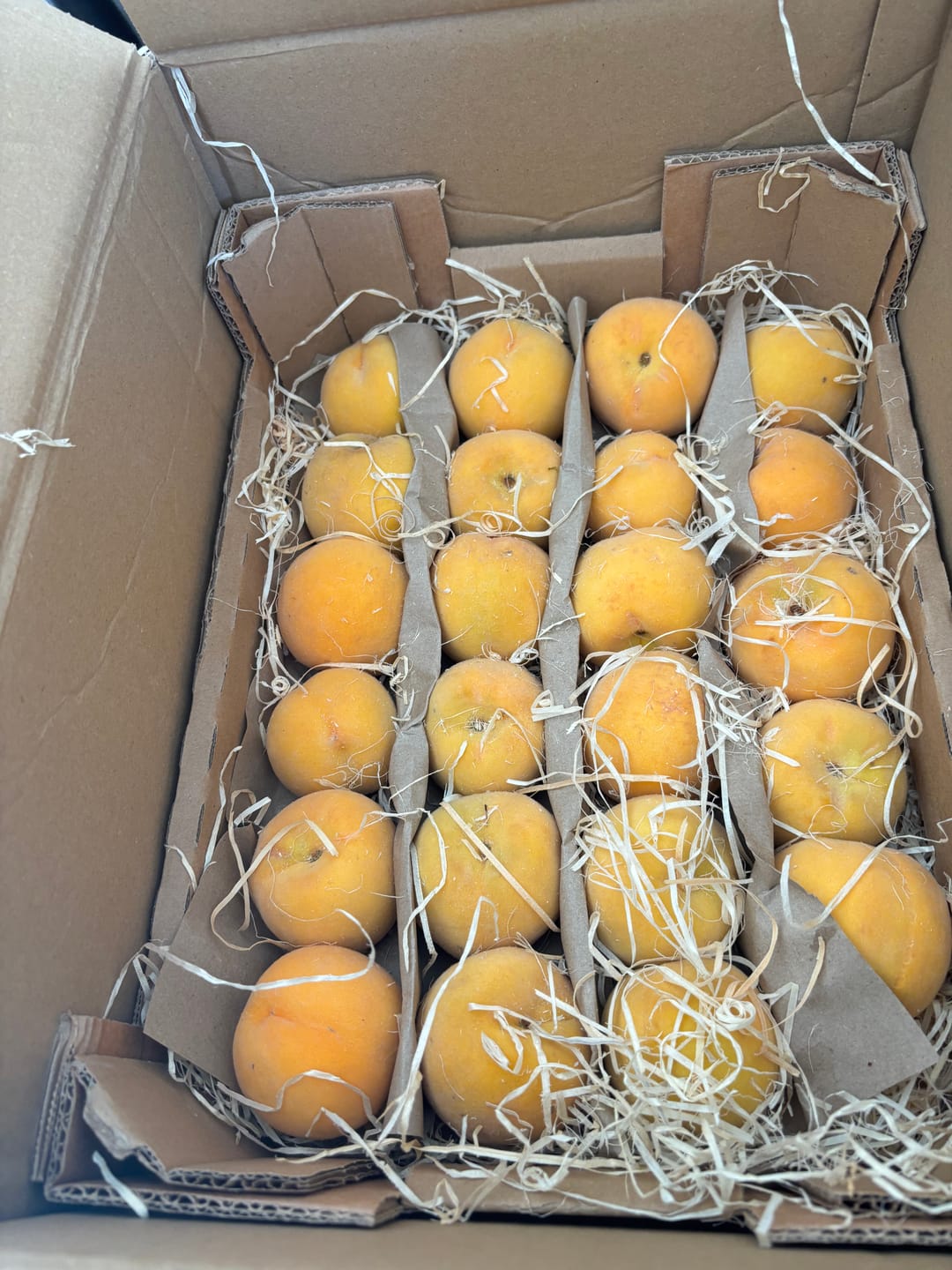 Customer photo review of Pfirsich-Mix Bio von Nicolas 3kg Box
