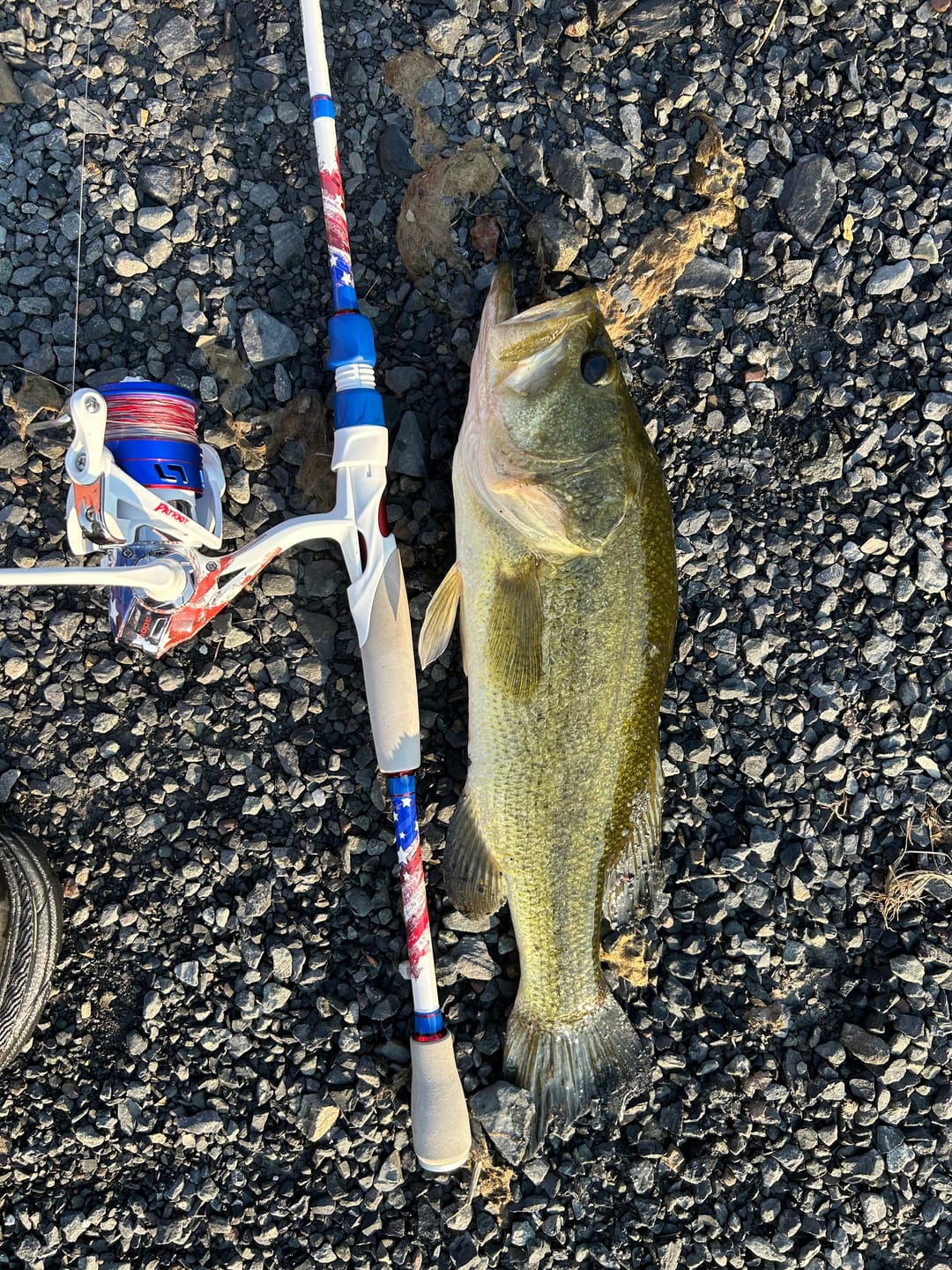 Customer photo review of Braided Fishing Line - 300 Yards - No Fade, Pro Grade Performance for Saltwater & Freshwater- Beyond Braid