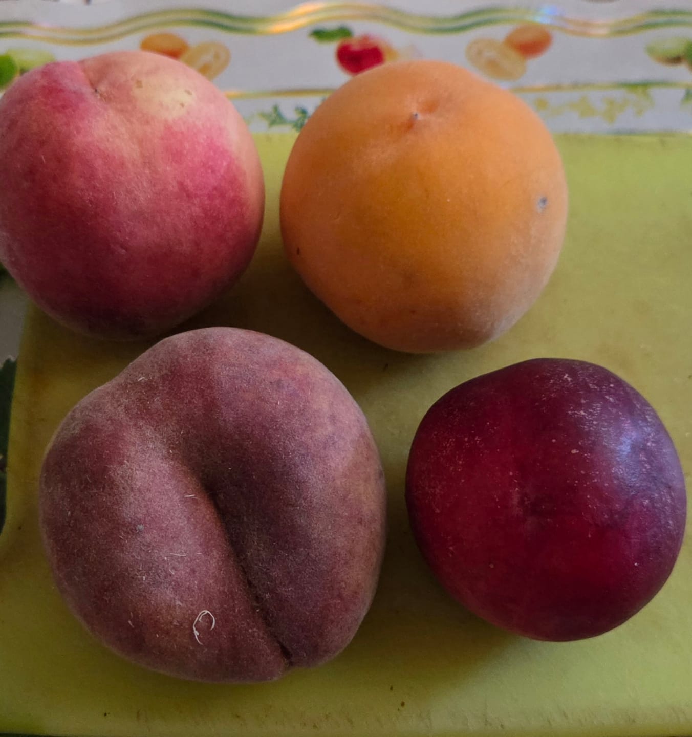 Customer photo review of Pfirsich-Mix Bio von Nicolas 3kg Box