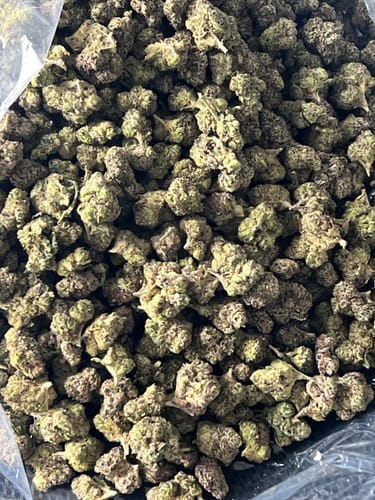 Boutique Exotics  Lemon Dior - Bulk - Hybrid photo review