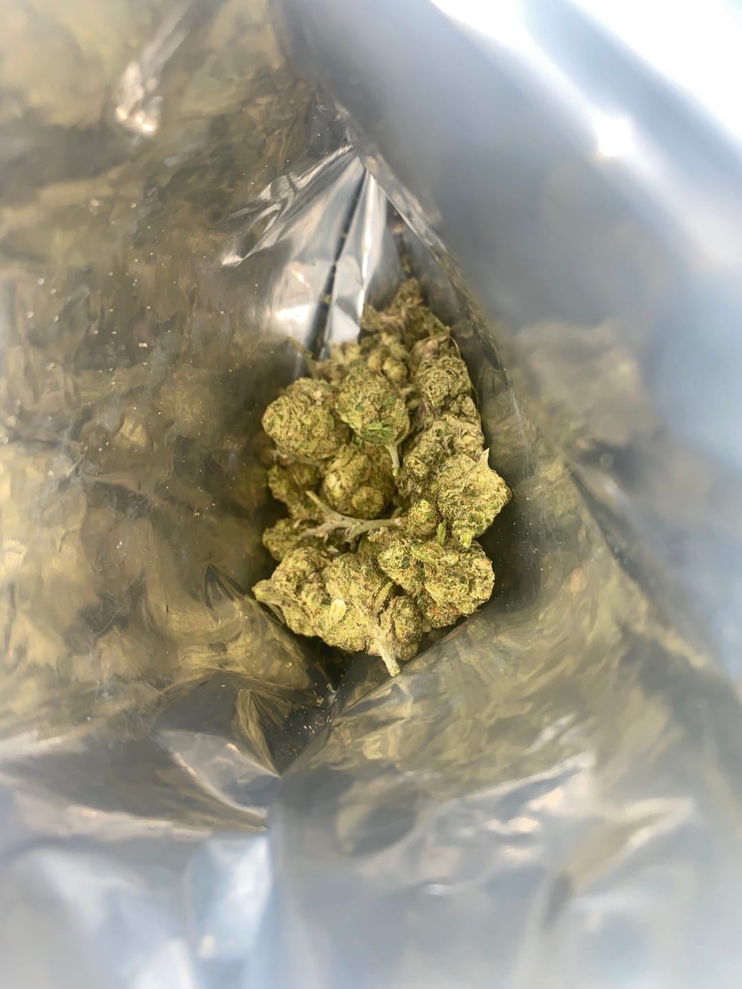 Customer photo review of Rizzler - Sativa - Everyday Fix THCA Flower