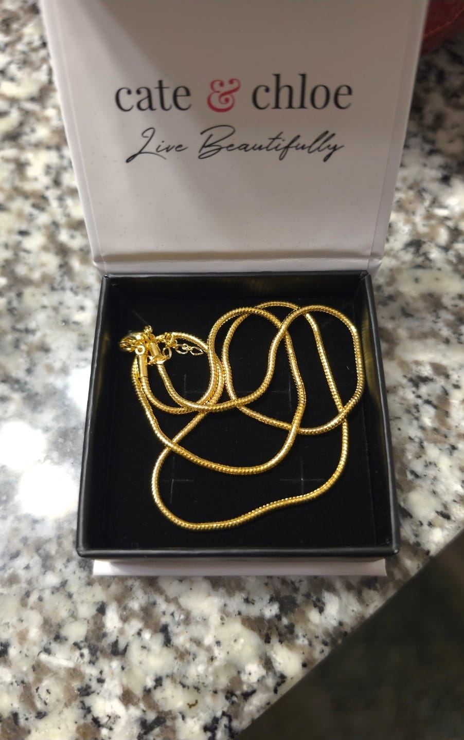 Customer photo review of Peyton 18k White Gold Plated Stacking Necklace Chain