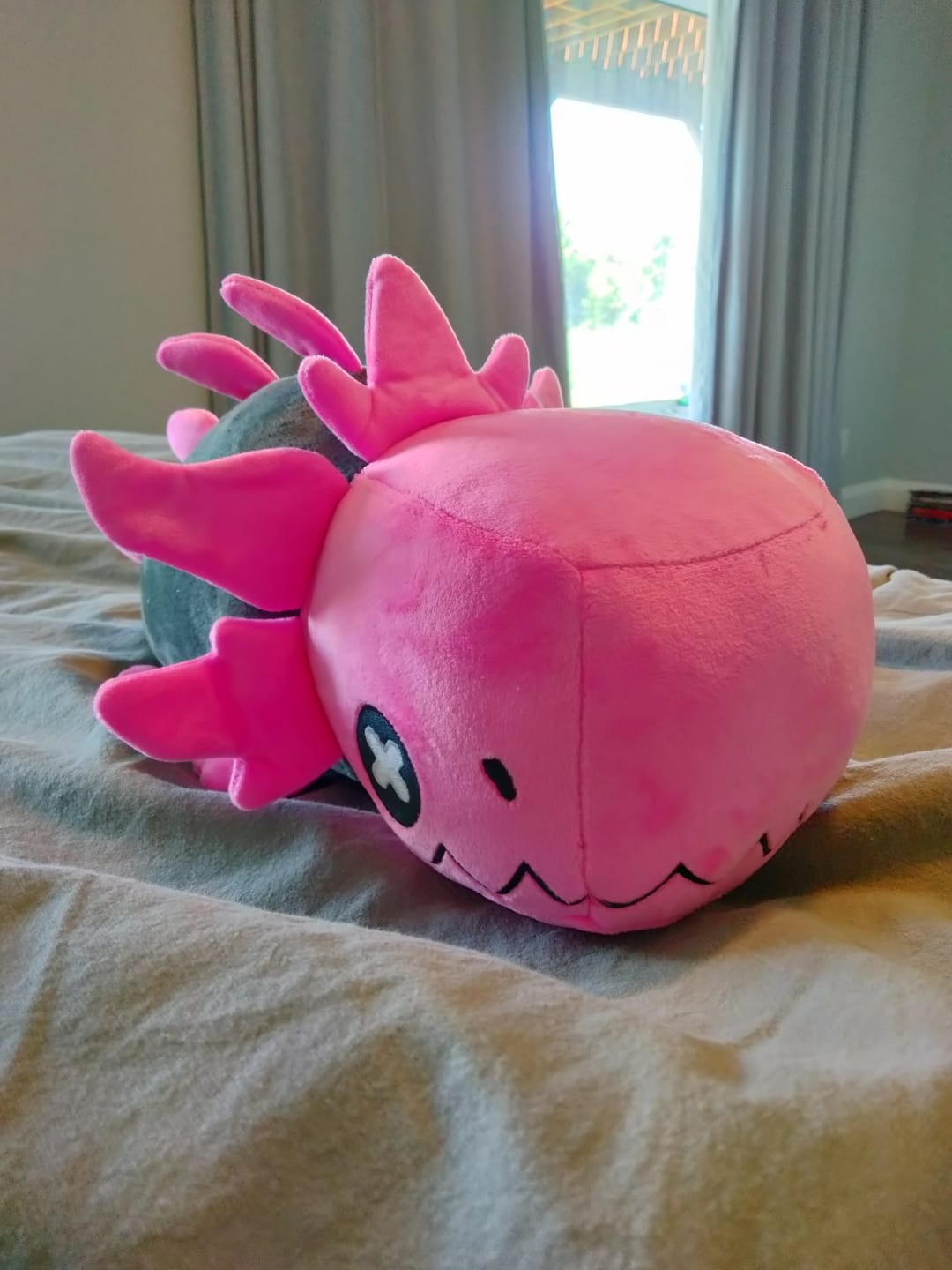 Customer photo review of Rain World - Glowing Pink Lizard Plush