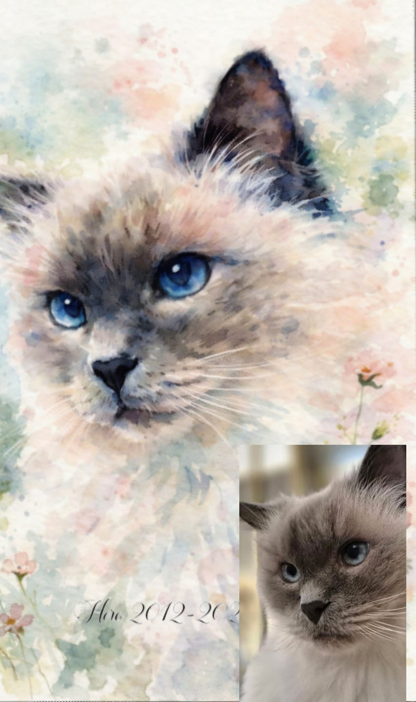 Customer photo review of Personalised Poster - Watercolour