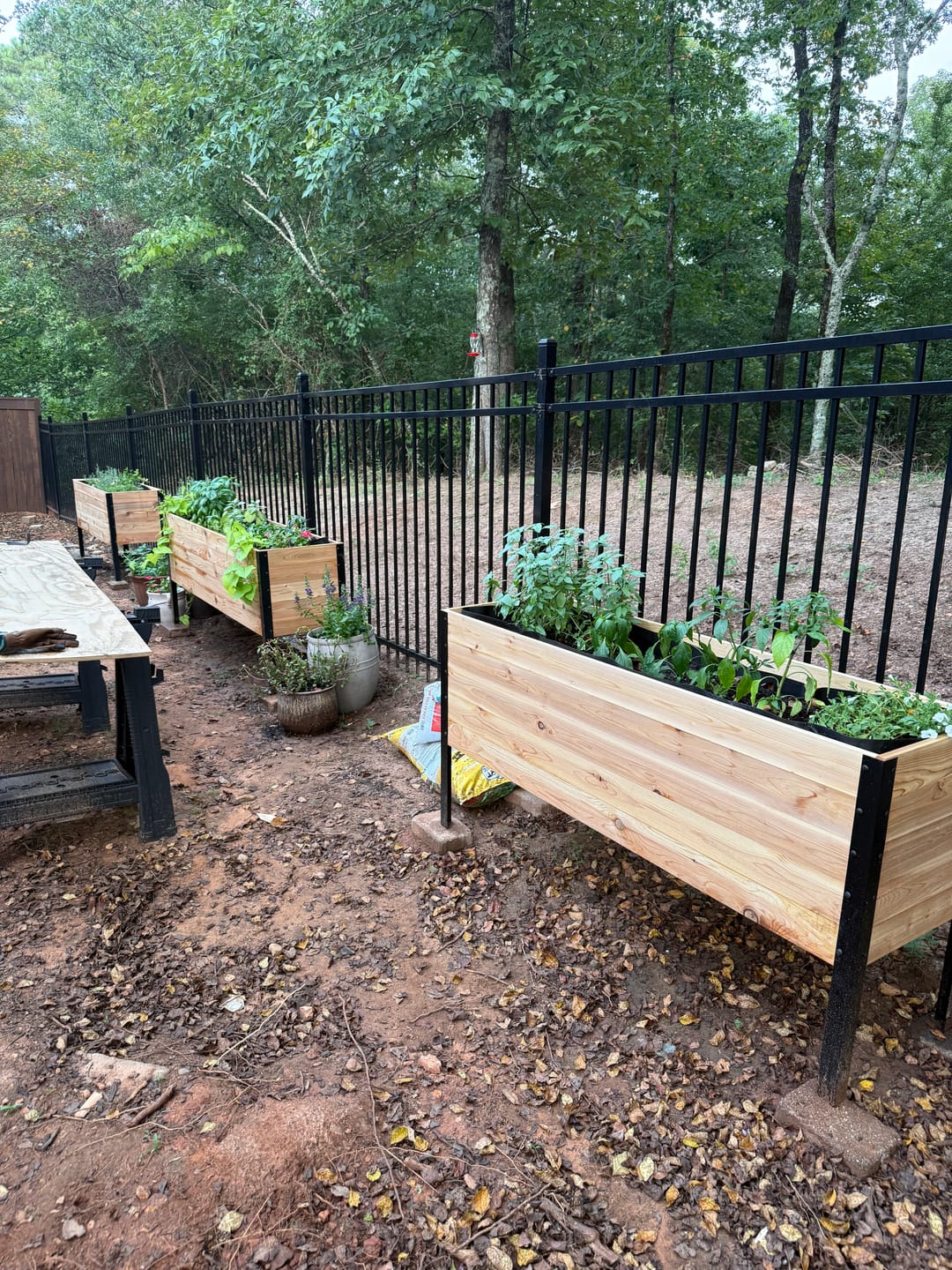 Customer photo review of 18″ x 72″ Deep Root Raised Garden Bed - 30″ TALL / Select Grade