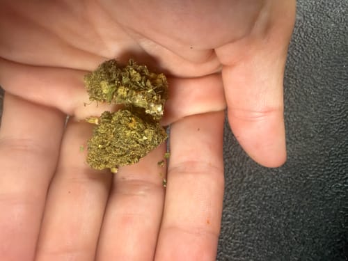 Blueberry Syrup - 28 Grams - Indica photo review