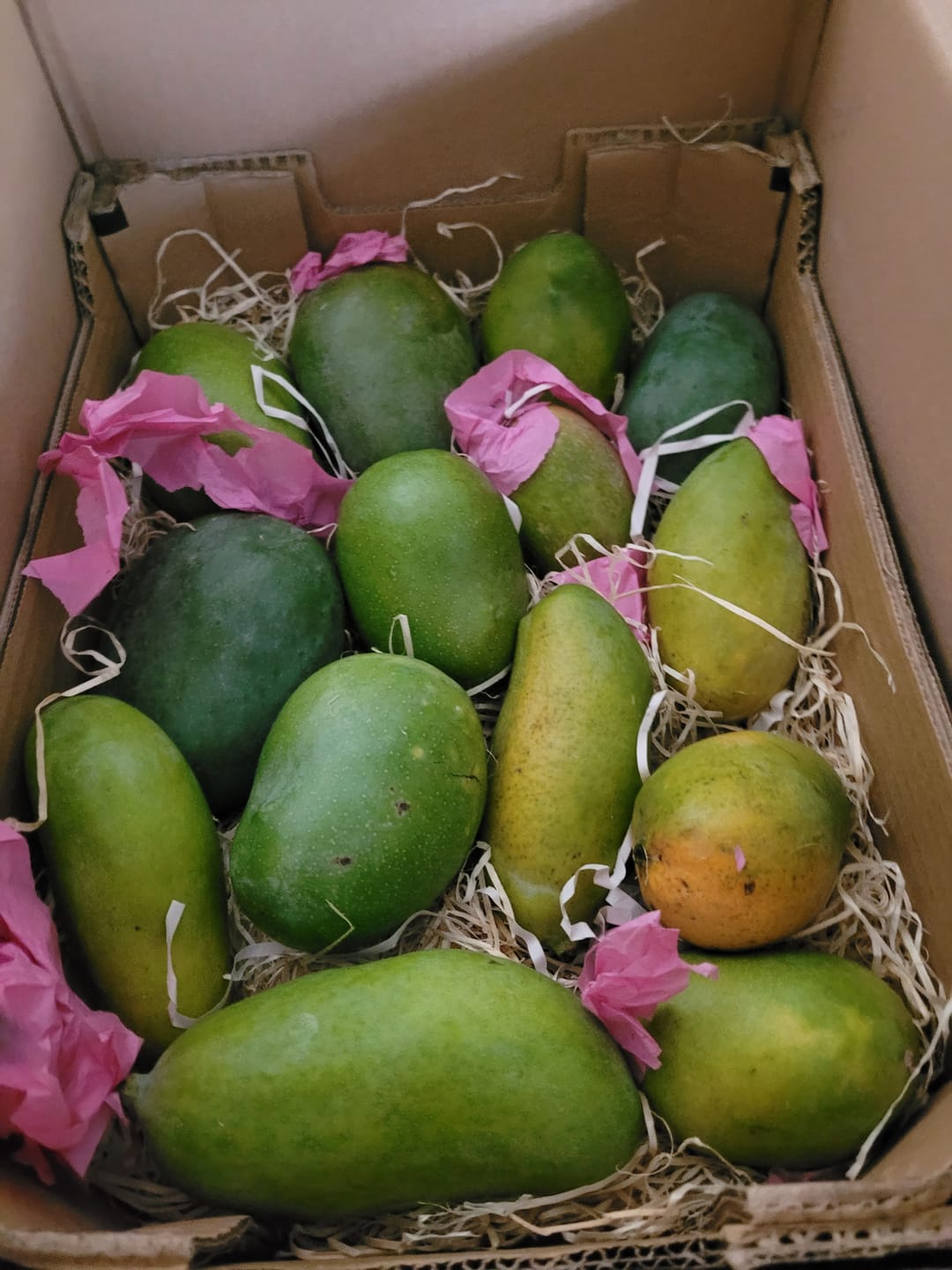 Customer photo review of Ägyptische Mango Entdeckerbox