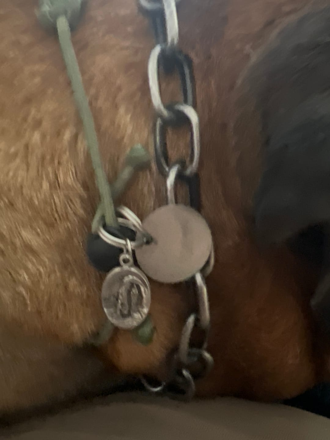 Customer photo review of Sacred Relic Medal of Lourdes: Touched by Healing Spring Water