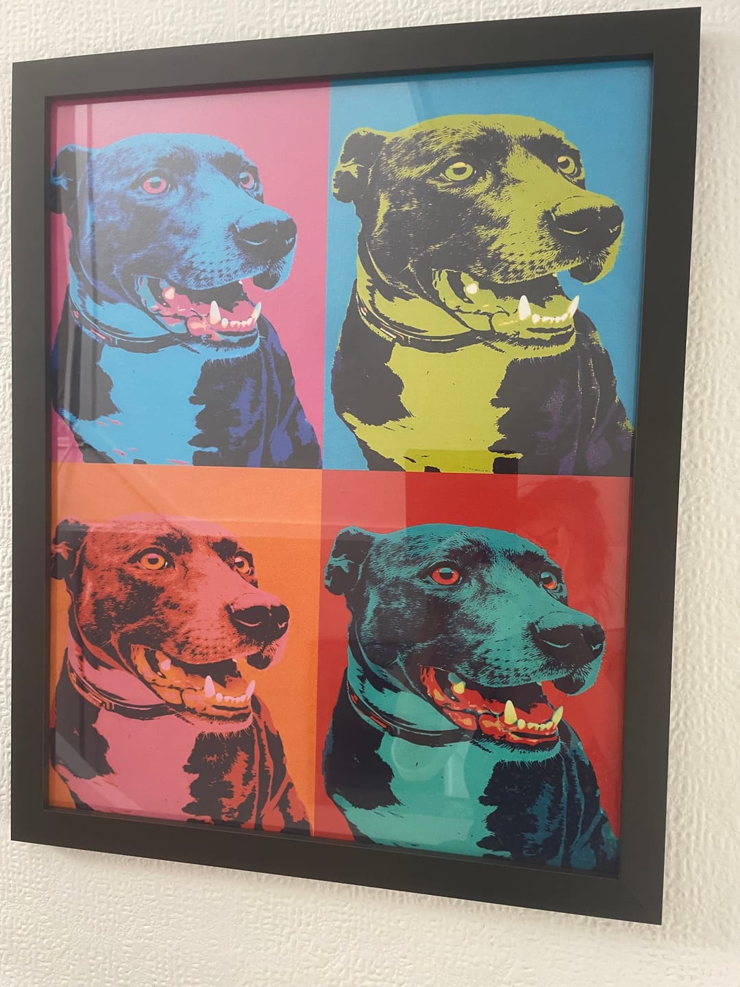 Customer photo review of Personalised Poster With Dog or Cat - Colour Squares