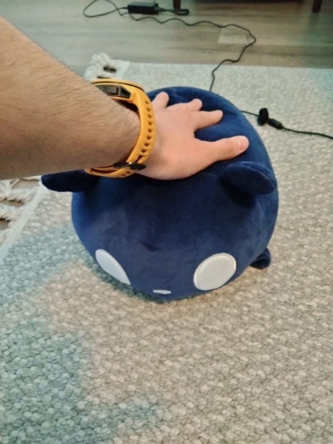 Customer photo review of Rain World - Watcher Slugcat Pillow Plush