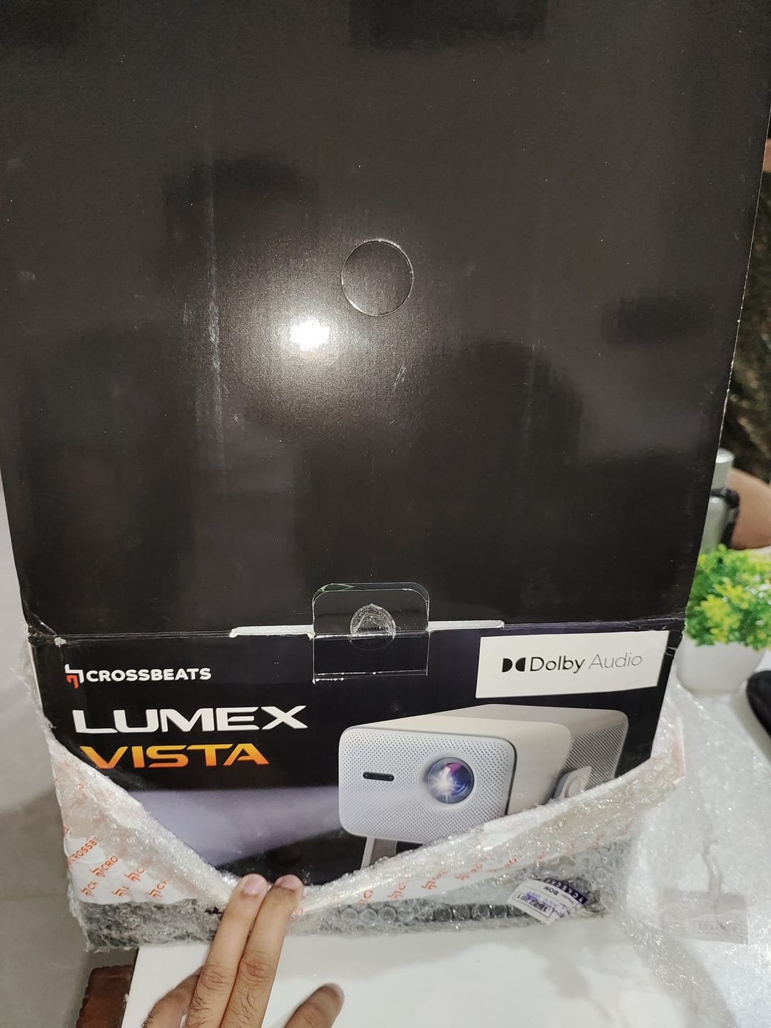 Customer photo review of LumeX Vista