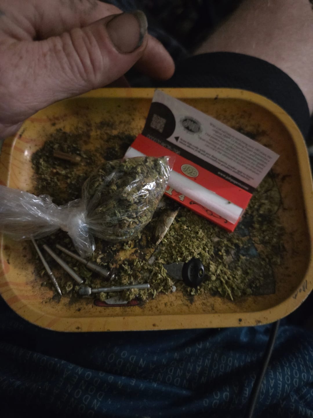 Customer photo review of Lemon Cherry Gelato - Micros - 28 Grams - Indica