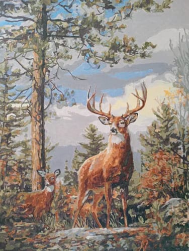 Customer's completed Custom Paint by Numbers deer portrait, showing detailed forest scene with vibrant colors.