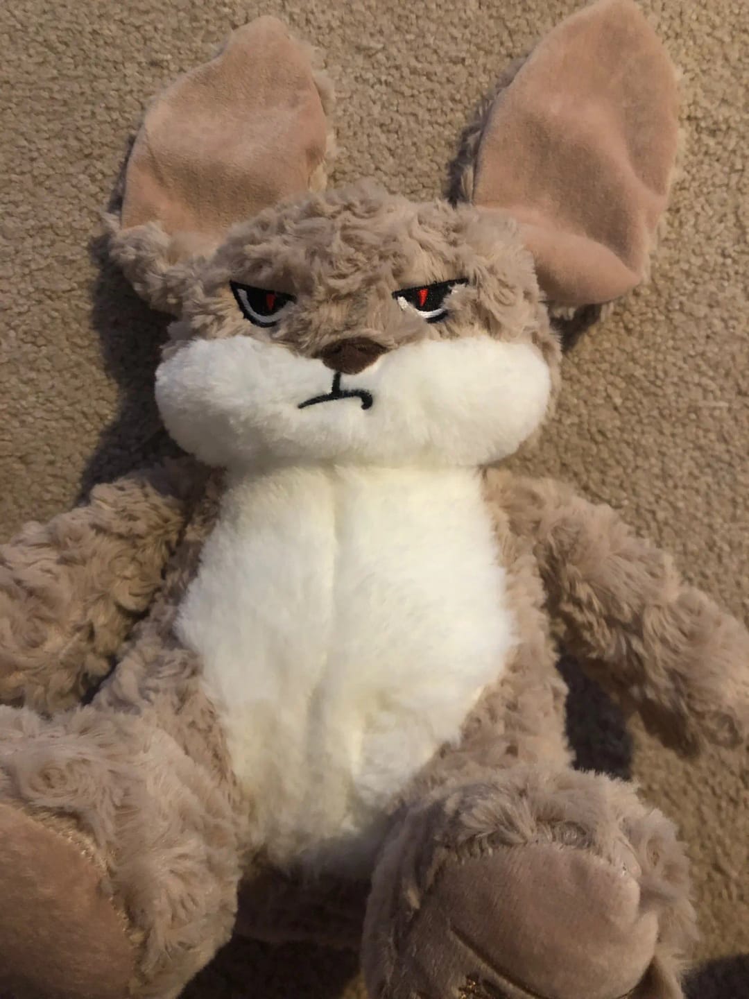 Customer photo review of Pompón™ El Peluche Gruñón
