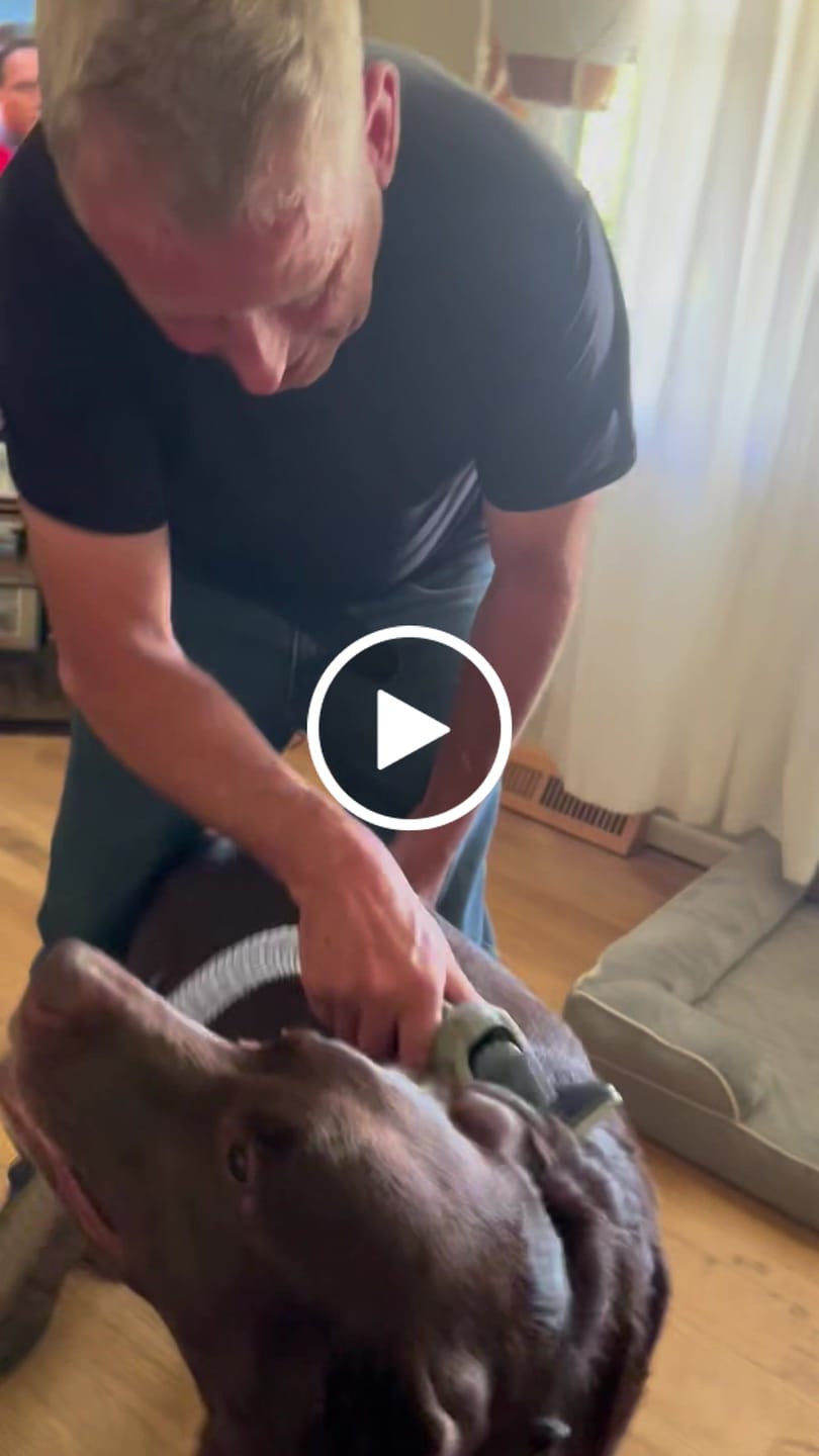 Customer video review of Original Pet Grooming Vacuum Kit