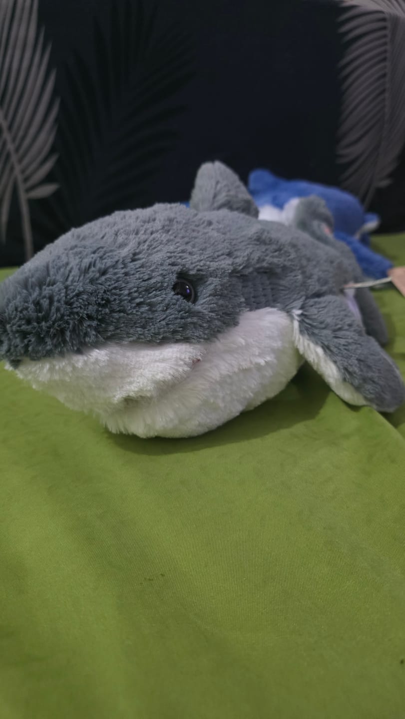Customer photo review of The Voyage Plush