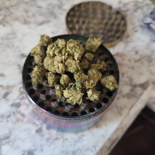 Super Silver Lemon Haze - Minis - 14 Grams - Sativa photo review