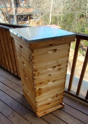 Customer photo review of VLoveBee 10-Frame 4-Layer Cedar Wood Bee Hive Kit – Complete Logo-Free Langstroth Beeswax Dipped Unassembled Hive Includes 2 Deep Boxes and 2 Medium Supers with 40 Plastic Foundation & Wooden Frames