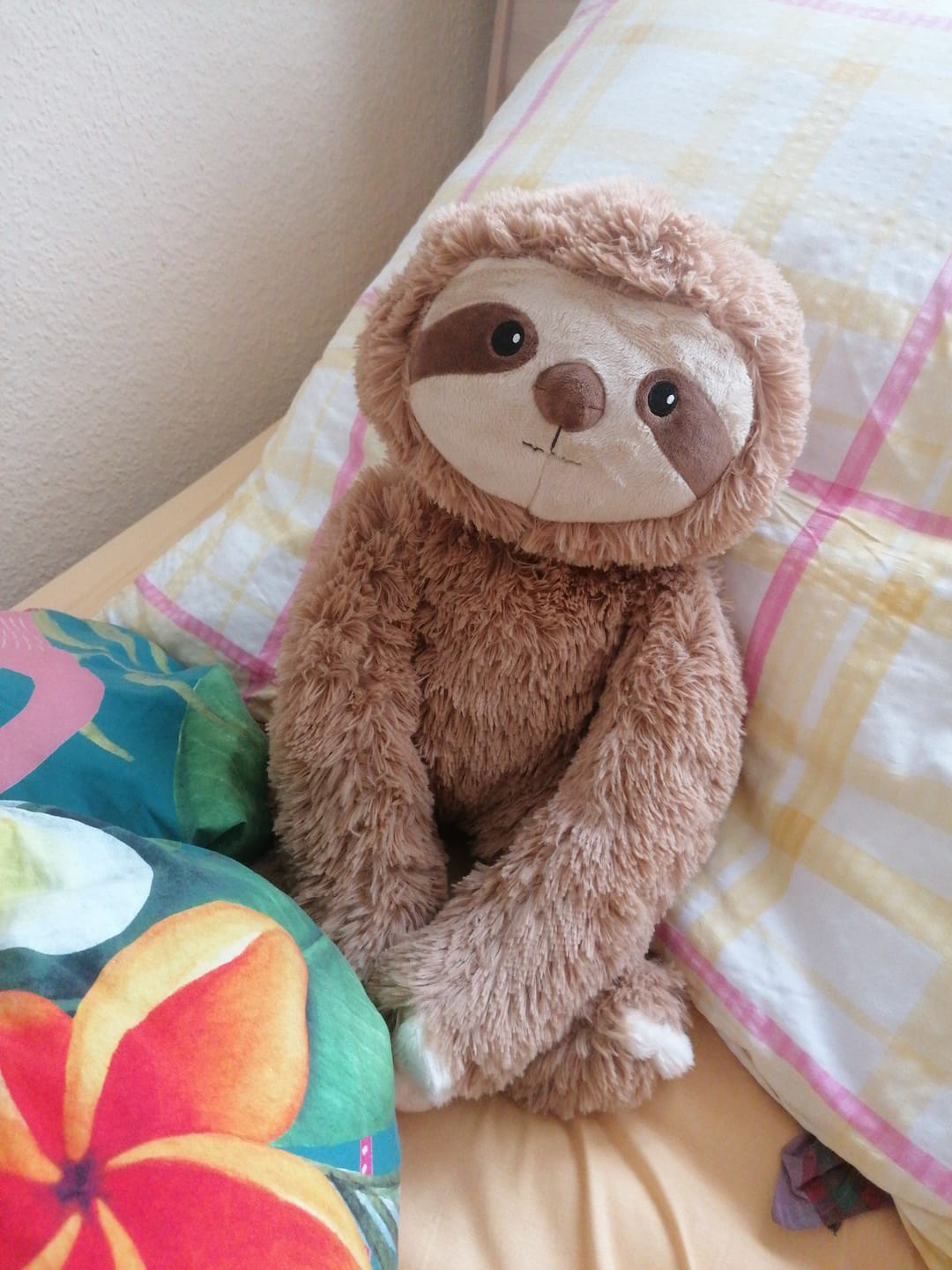 Customer photo review of Lotgenootje Luiaard 2,5kg
