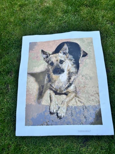 Customer's completed Custom Paint By Numbers dog portrait on canvas, placed on green grass