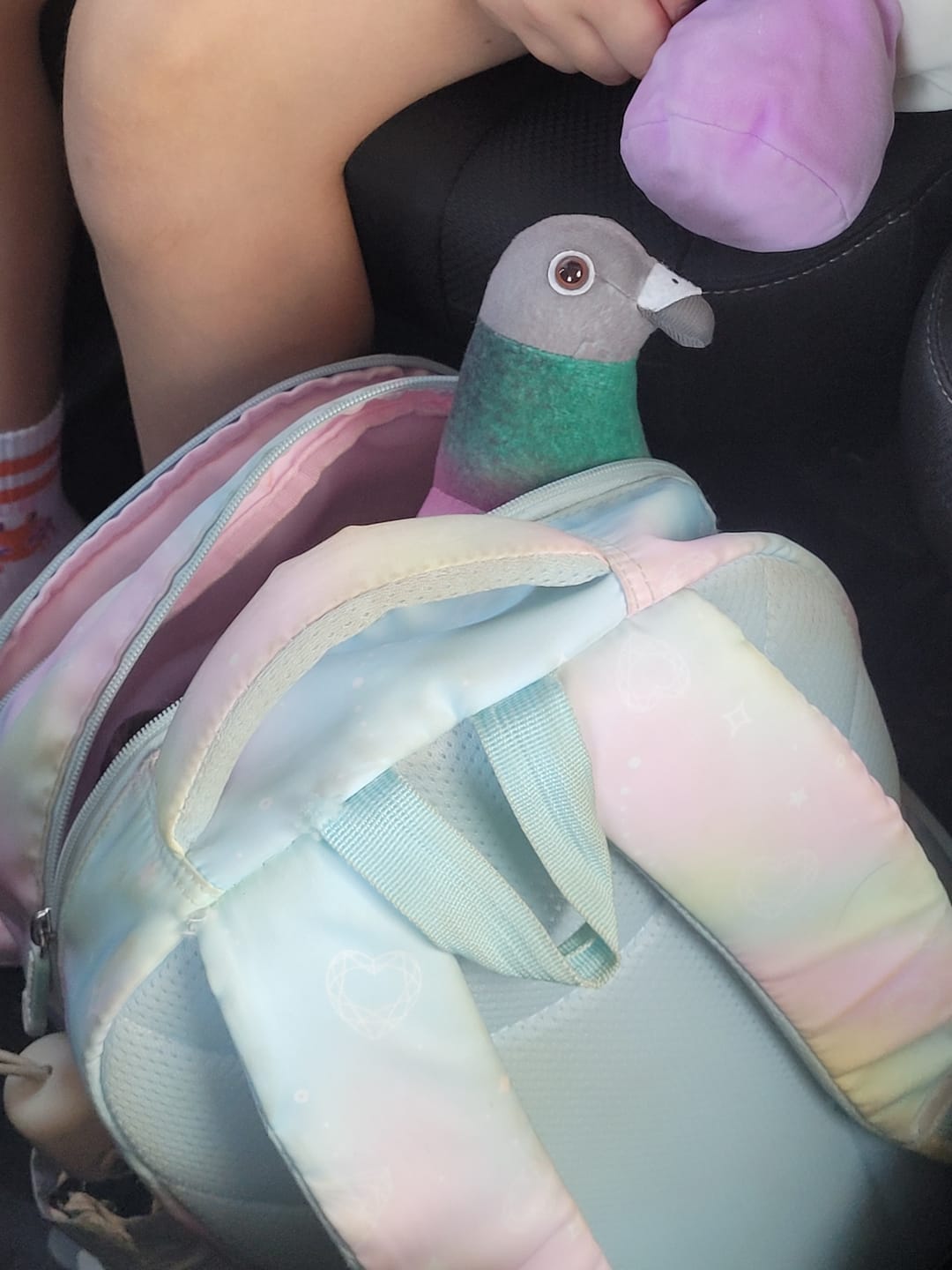 Customer photo review of Common Pigeon Bird Soft Stuffed Plush Toy