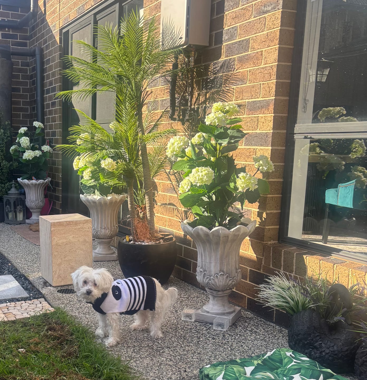 Customer photo review of Artificial White Hydrangea Tree 90cm - UV Resistant Flowering Plant