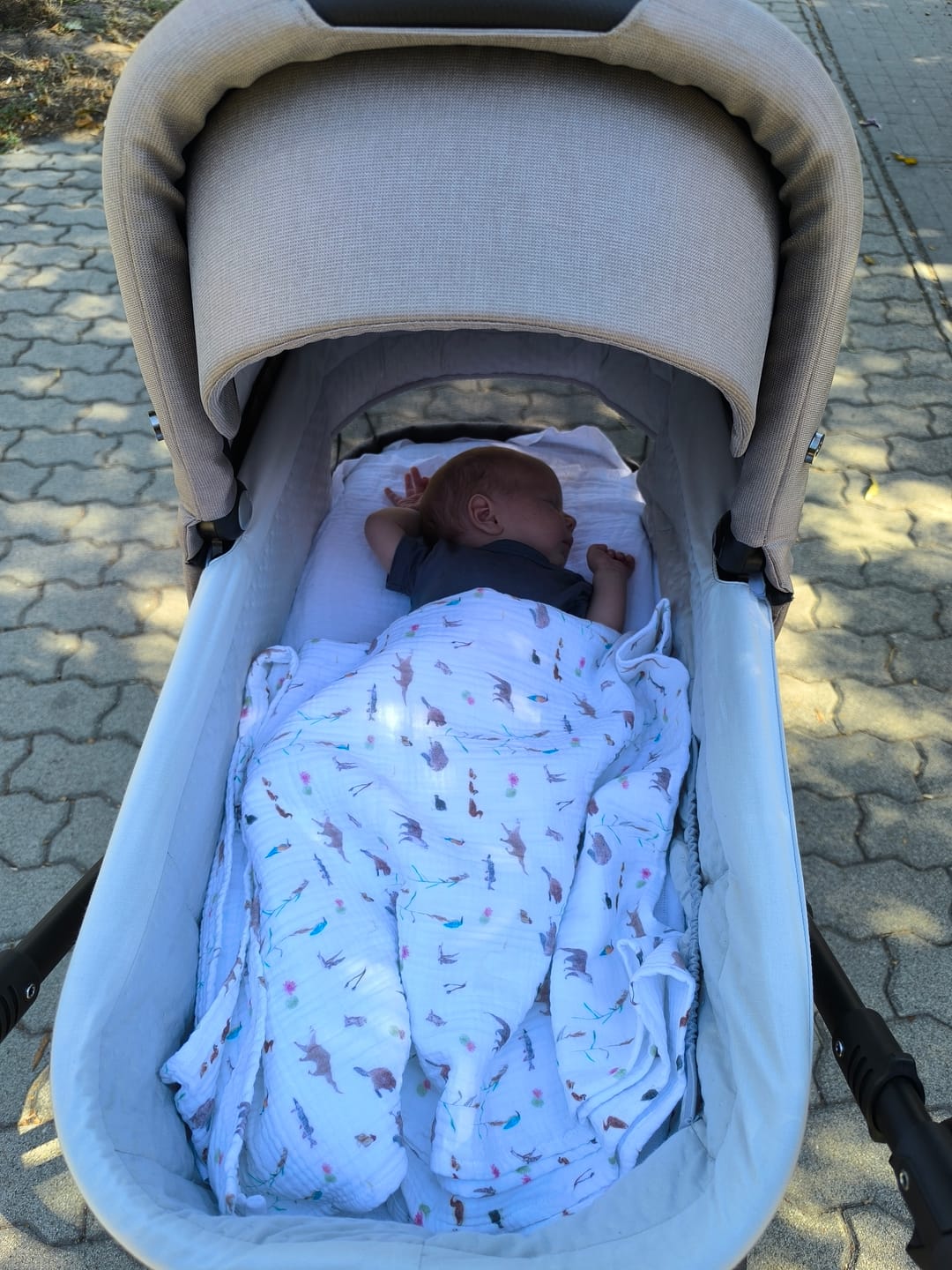 Customer photo review of Nyári egyrétegű takaró - II. osztály - Tisza mente