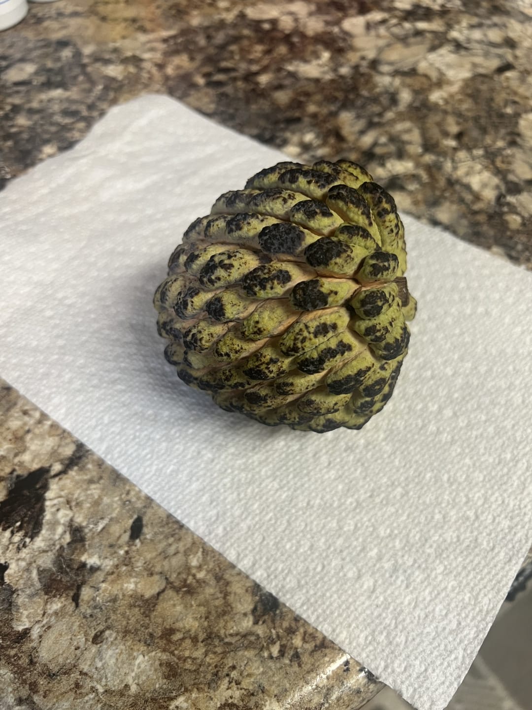 Customer photo review of Sugar Apple (Sweetsop)