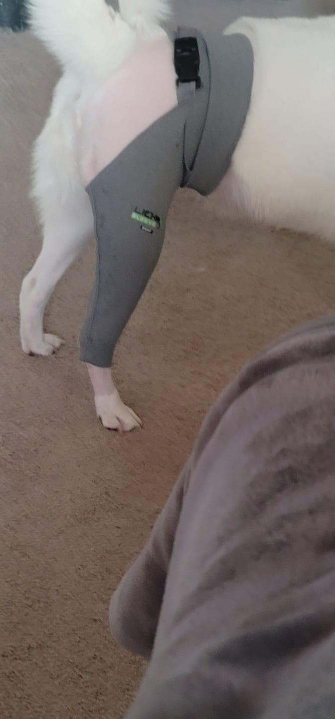 Customer photo review of Lick Sleeve® Leg Sleeve