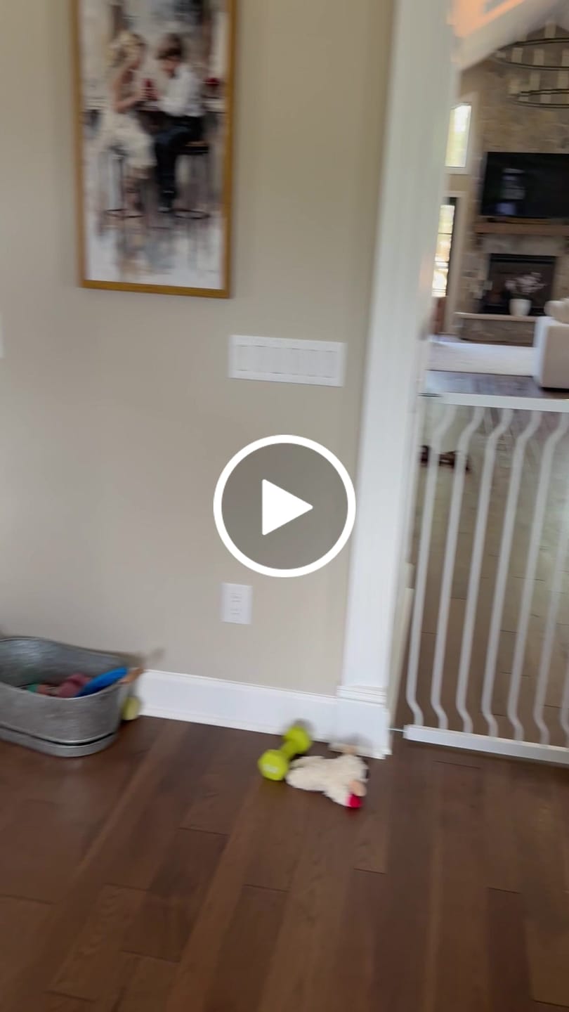 Customer video review of FairyBaby 40" Extra Tall Baby Gate in Heavy Duty Design