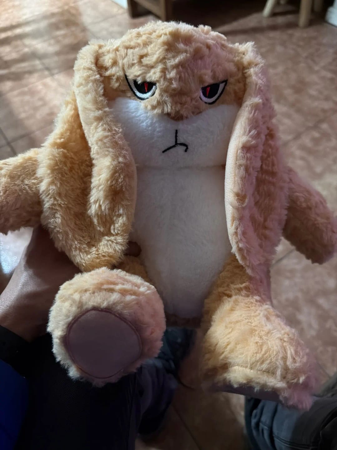 Customer photo review of Pompón™ El Peluche Gruñón