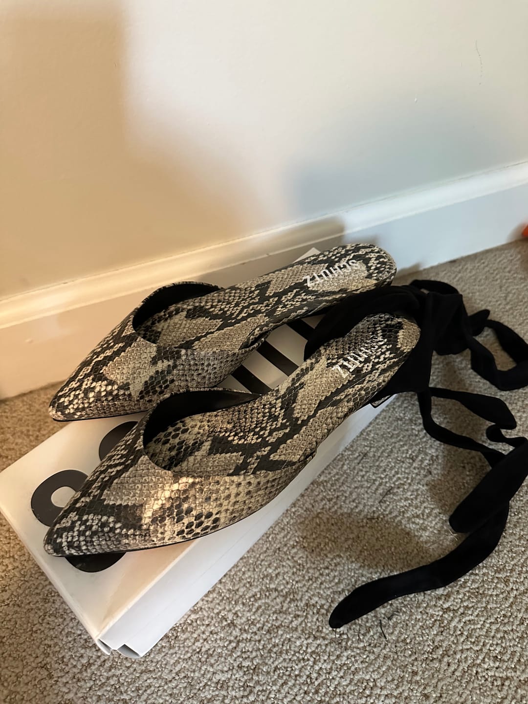 Customer photo review of Tuckernuck NIB Single SKU SCHUTZ Shoe