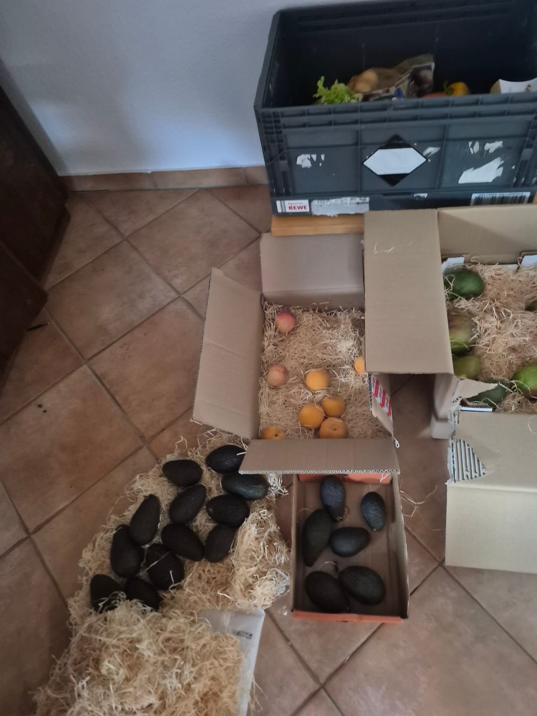 Customer photo review of Pfirsich & Nektarinen Bio von Jordi Retterbox 3kg