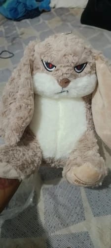 Customer photo review of Pompón™ El Peluche Gruñón