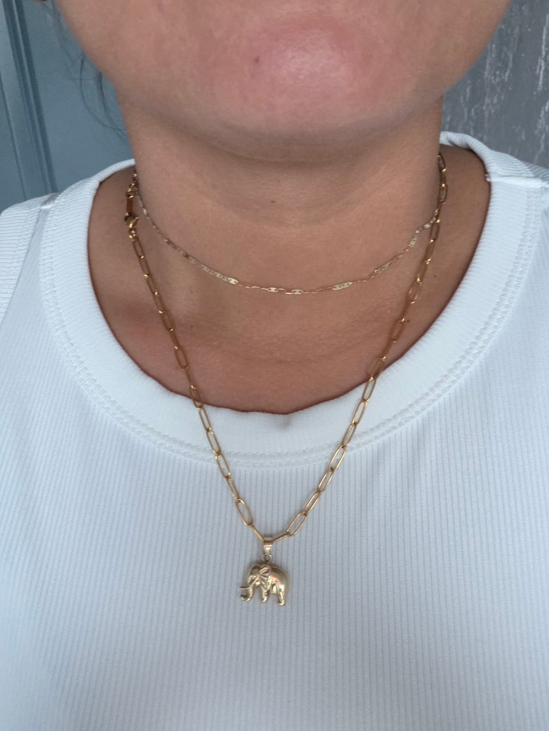Customer photo review of Maui Paperclip Necklace (Bundle)