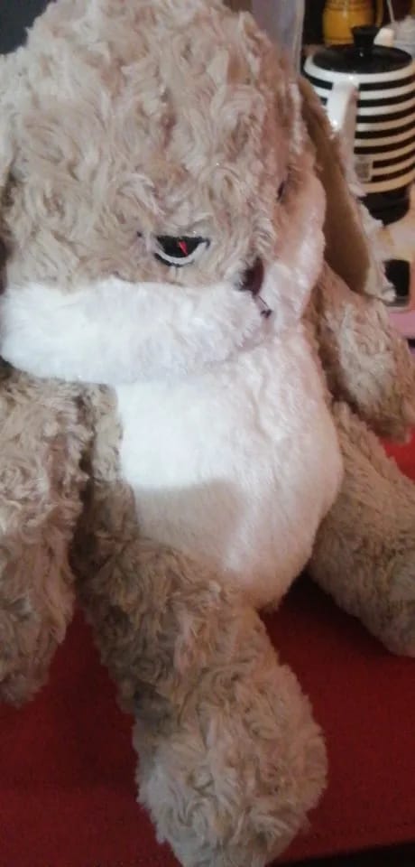 Customer photo review of Pompón™ El Peluche Gruñón