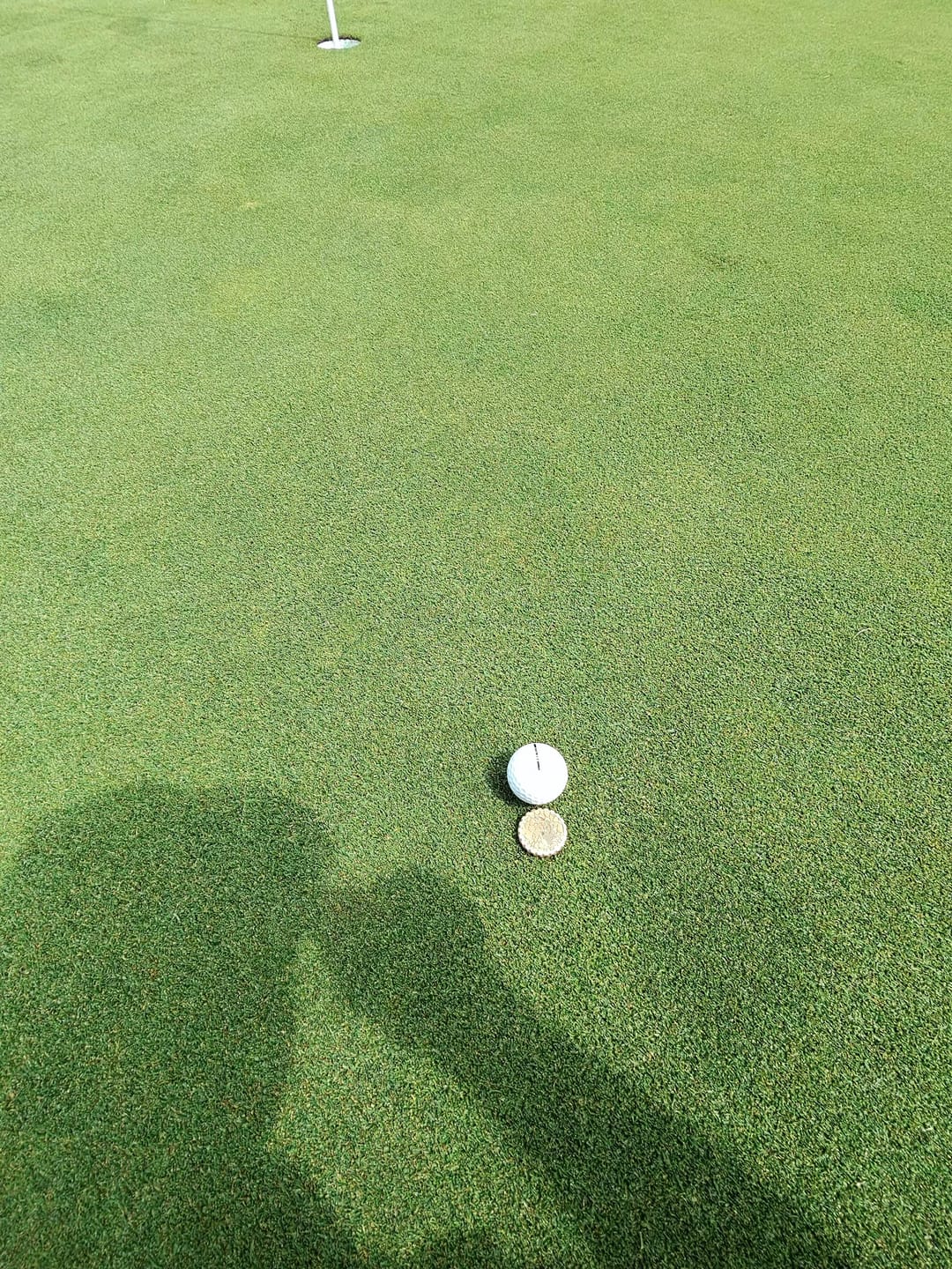 Customer photo review of Koi 2.0 Brass Ball Marker