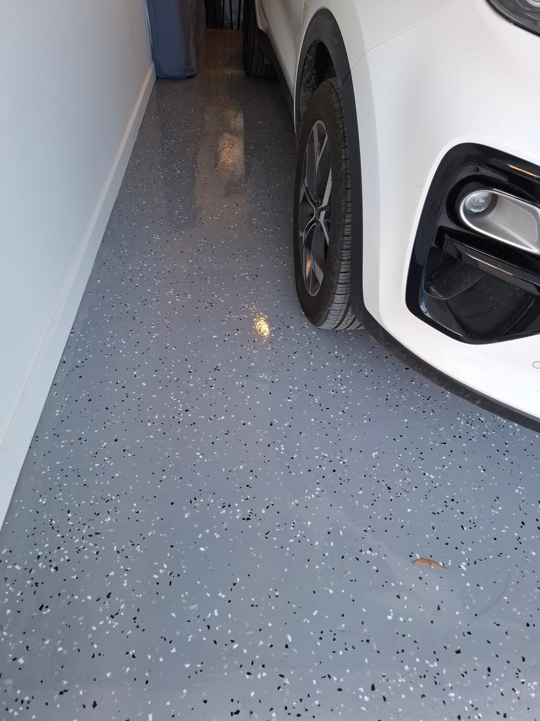 Customer photo review of Epoxy Flake Floor Kit