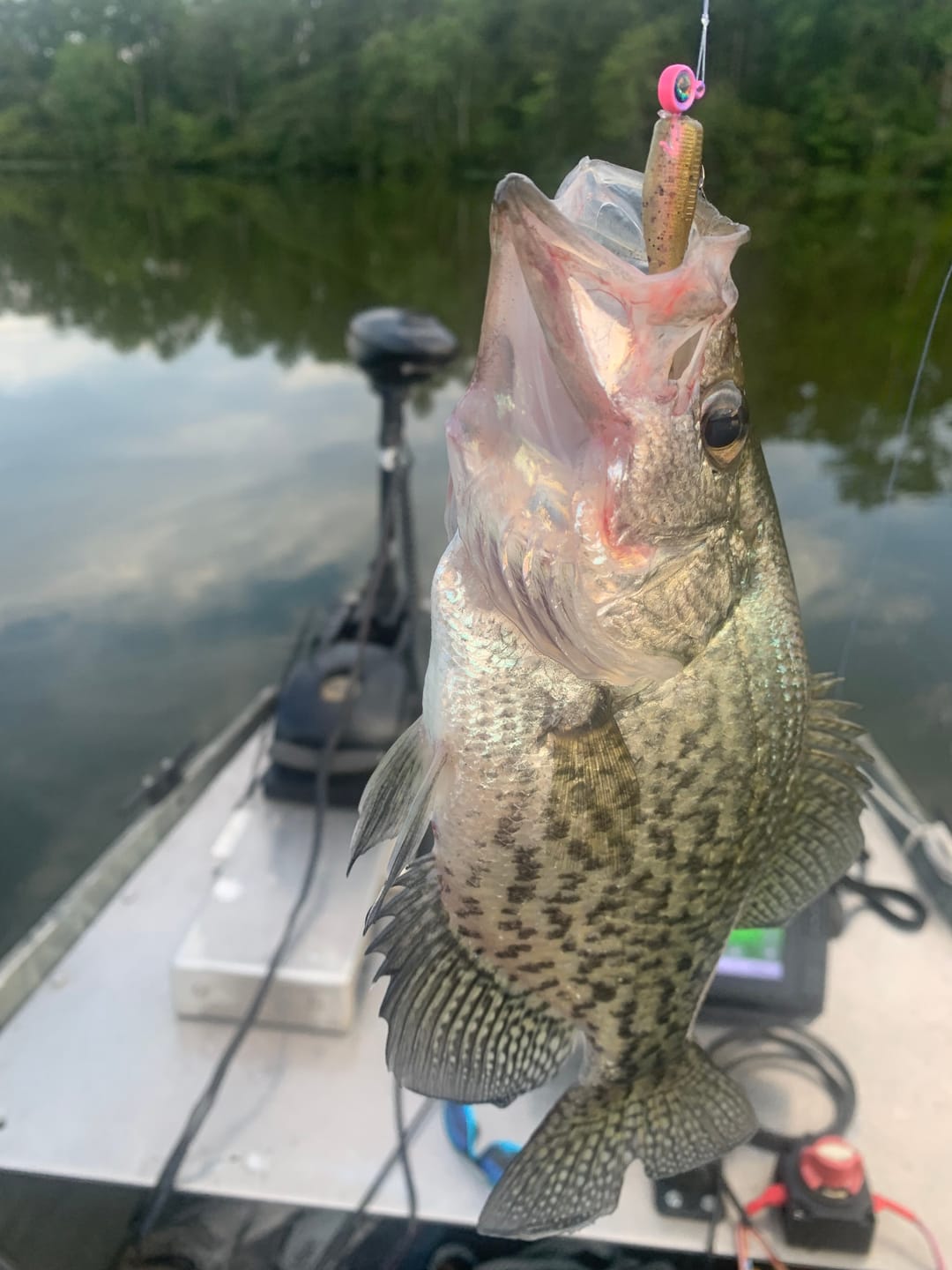 Customer photo review of Grand Slam Green