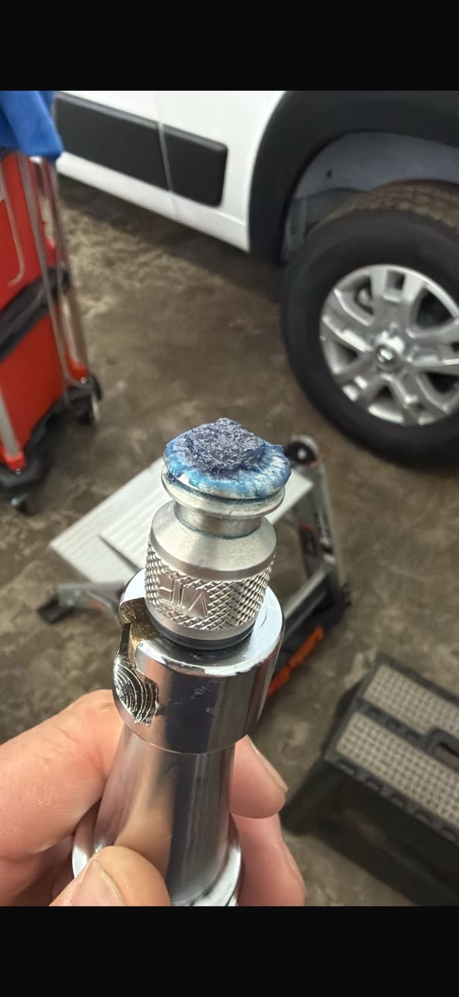 Customer photo review of Sergio's Cola Fria Cold Glue with container