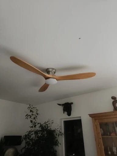 Customer photo review of Solid Wood Blade Ceiling Fan Light With Integrated LED and DC Motor