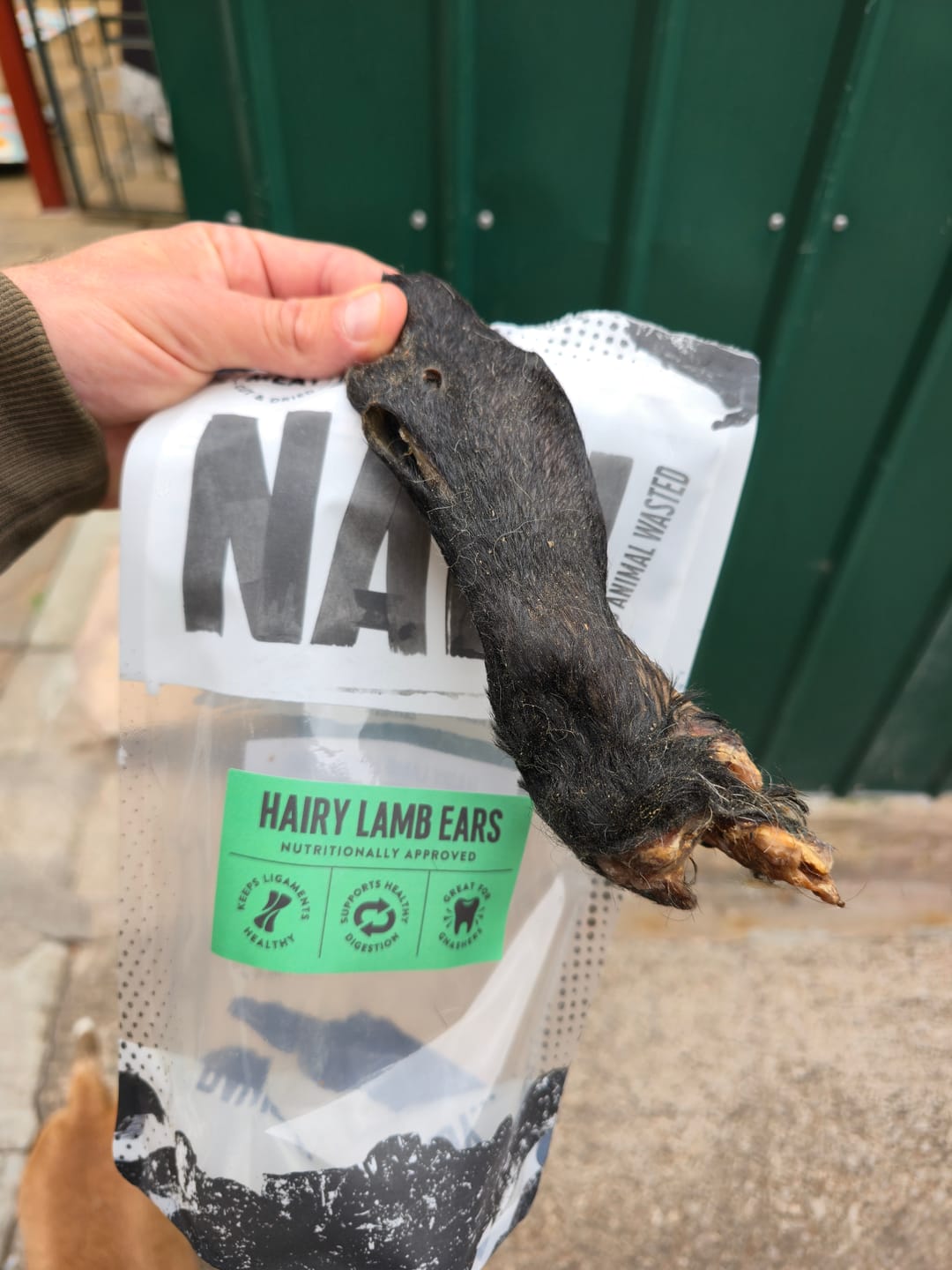 Customer photo review of Hairy Lamb Ears (100g)