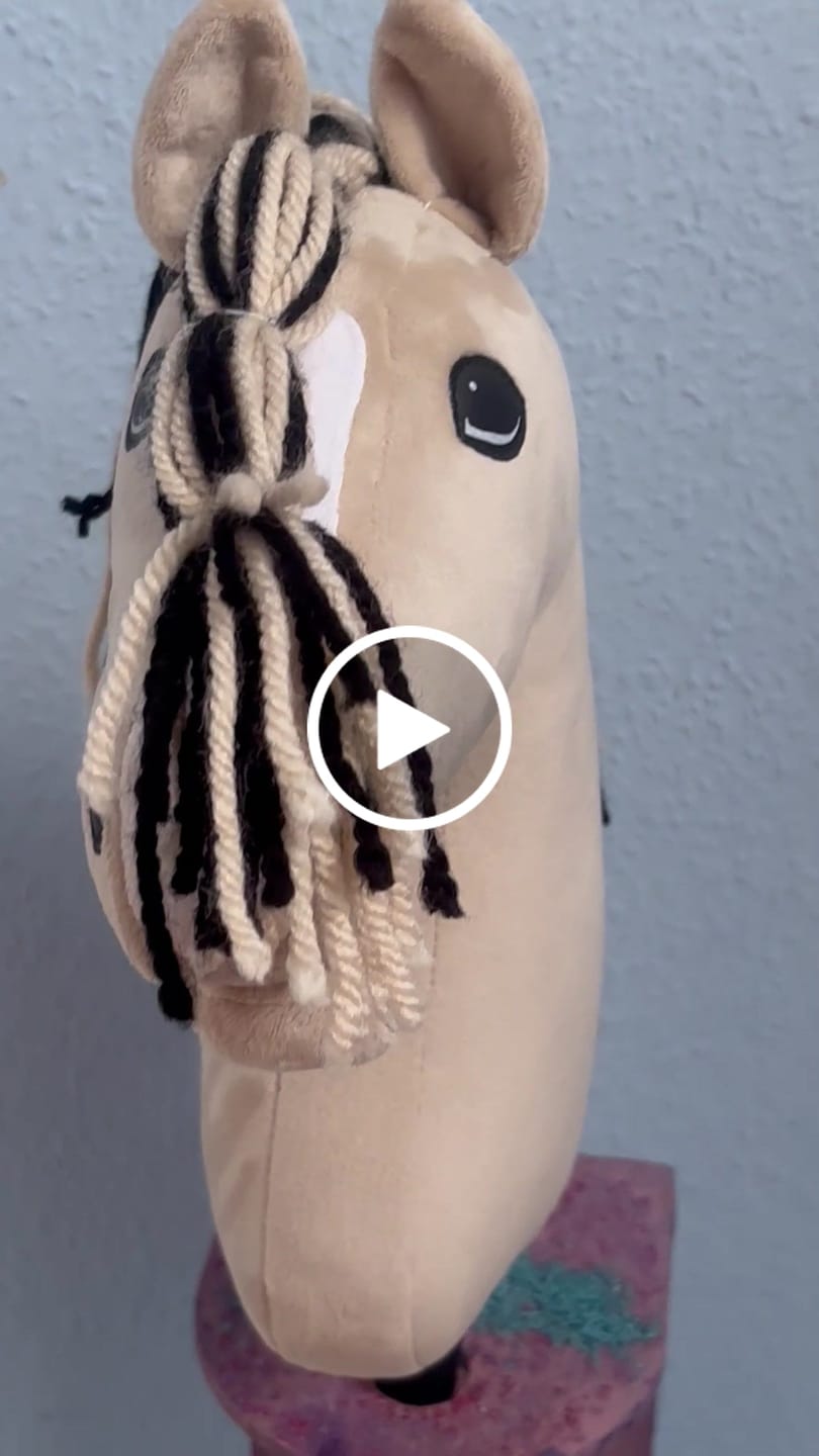 Customer video review of Hobby Horse Aurora with Black Halter